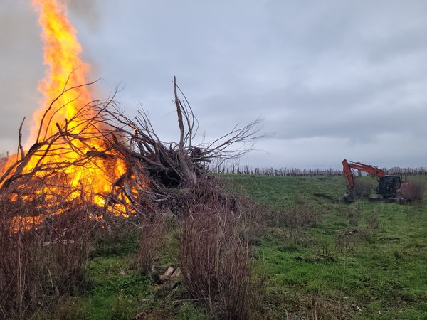 Controlled burn-off of cleared vegetation