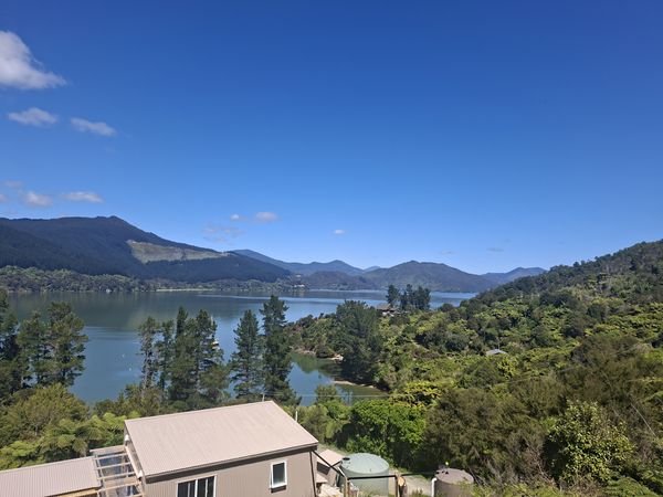 Looking out over the new build roof to Mahau Sound from the top of the section