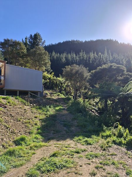 Steep track running up past the new build into the bush, Mahau Sound