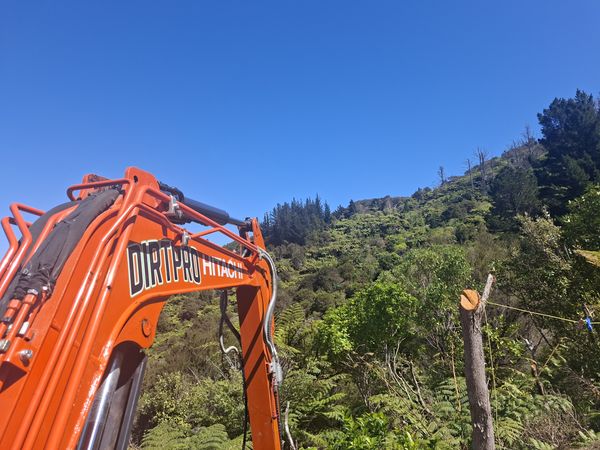 DirtPro digger boom against the steep bush-clad slope behind the section