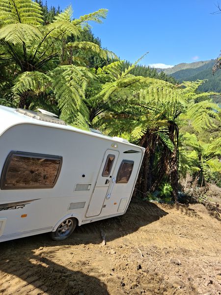 Caravan halfway up the old goat track, squeezed between tree ferns