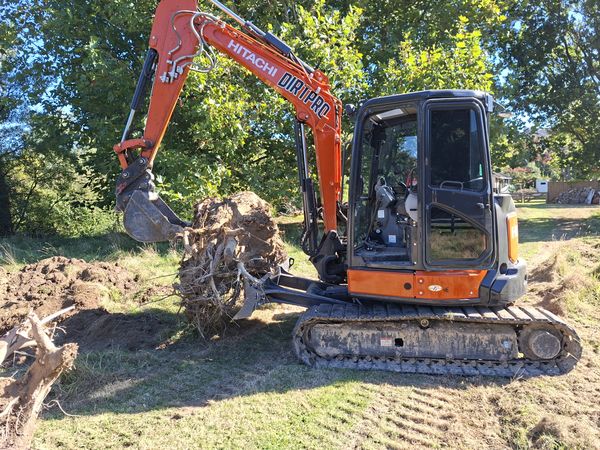 Large stump pulled out roots and all by digger on Bush Road property, Tuamarina